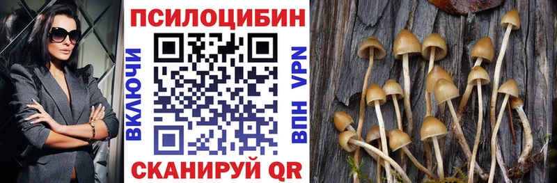 Купить где  Губаха  Псилоцибиновые грибы мухоморы 